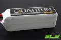 quantum 6s.jpg